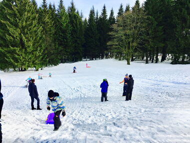 Kinder mit ihren Schlitten auf dem  Rodelhang am Spießberg