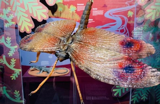 Erlebnisturm mit Aussicht und Ausstellungen © 