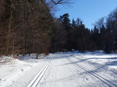 Loipen und Winterwanderweg auf dem Gelben Weg
