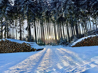 Winter im Thüringer Wald bei Finsterbergen