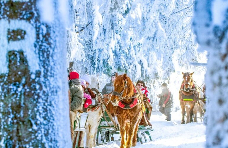 Pferdeschlitten am Rennsteig