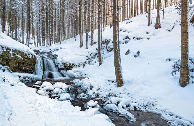 Wasserfall am Schilfwasser im Winter
