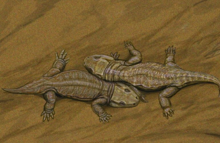 "Tambacher Liebespaar" - Lebendrekonstruktion