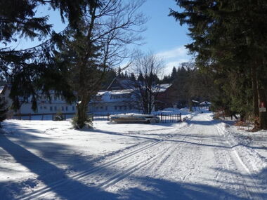 Hotel und Bergggasthof Tanzbuche