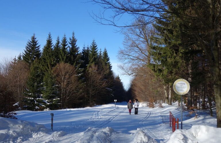 Winterwandern am Rennsteig
