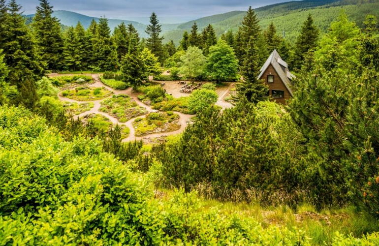 Rennsteiggarten - Oberhof © Dominik Ketz