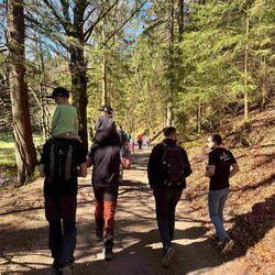 Bild Wildwanderung Herbst - Markus Creutzburg