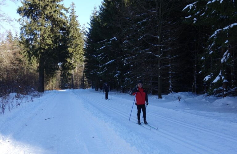 Winterwandern auf dem Burgweg