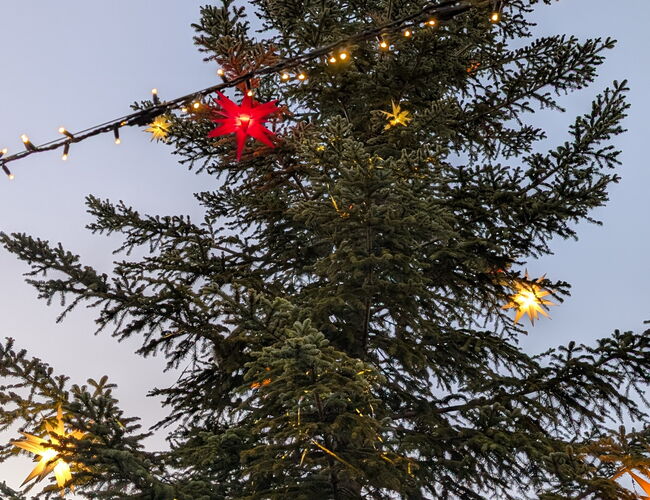 erleuchteter Weihnachtsbaum