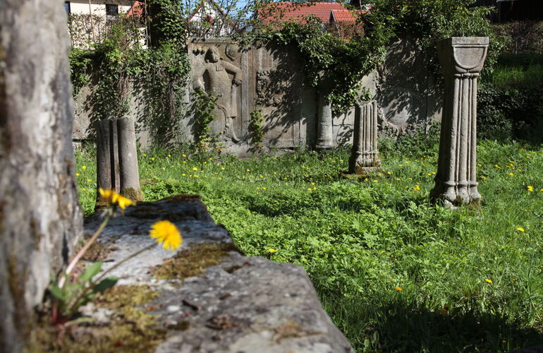 Ruine Zisterzienserkloster Georgenthal