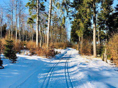 Gespurte Loinpe beim Spießberg im verschneiten Thüringer Wald