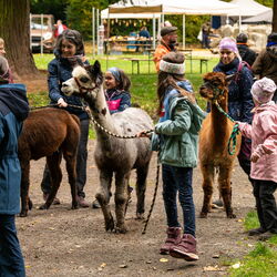 Familien - Naturerlebnistag im Kurpark Georgenthal