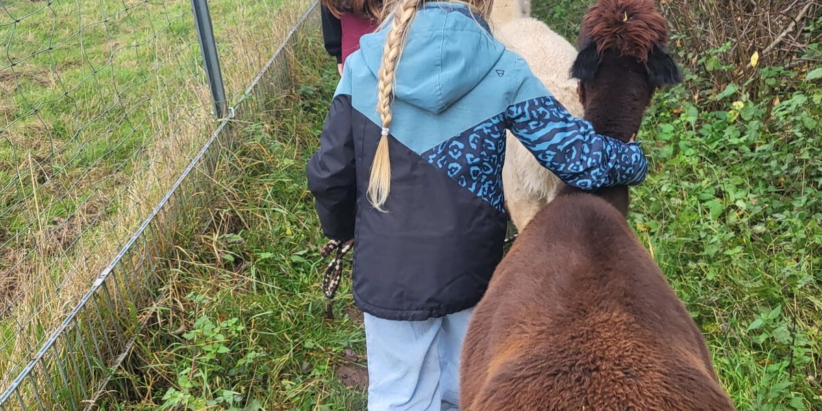 Alpaka und Lama Wanderung in Tambach Dietharz