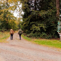 Wandern auf einem der 12 Klima-Terrainkurwege