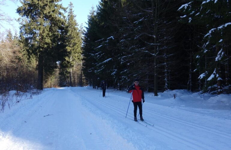 Winterwandern auf dem Burgweg