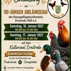 Plakat 100 Jahre Jubiläumsschau Rassegeflügelzuchtverein Ernstroda