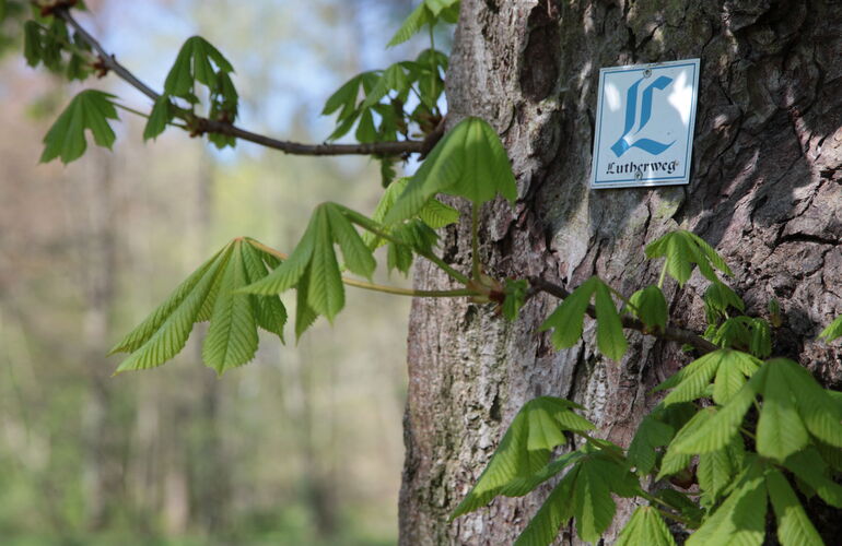 Lutherweg-Markierung im Kurpark Georgenthal