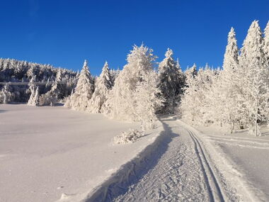 Loipe Ebertswiese © Stefan Ebert