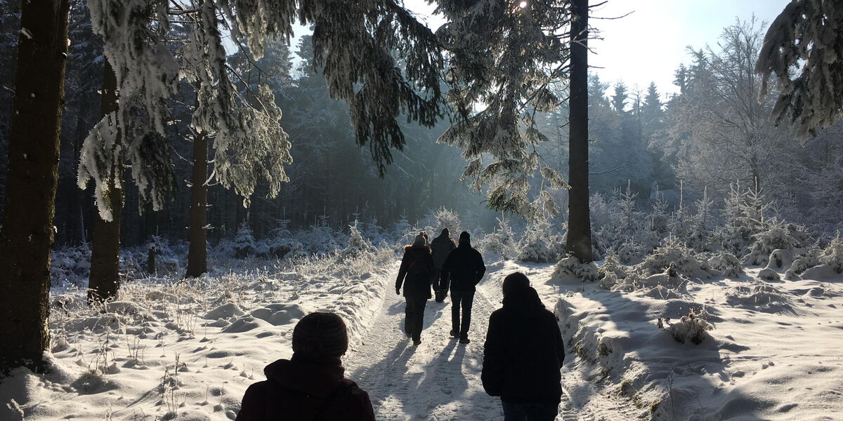 Wildwanderung am Rennsteig, Bild: Markus Creutzburg