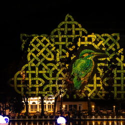 Lichternacht am Hammerteich Georgenthal