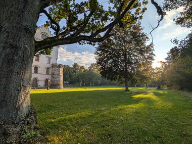 Ein Teil des Schlosses verdeckt von einem alten Baum im Schlosspark Reinhardsbrunn