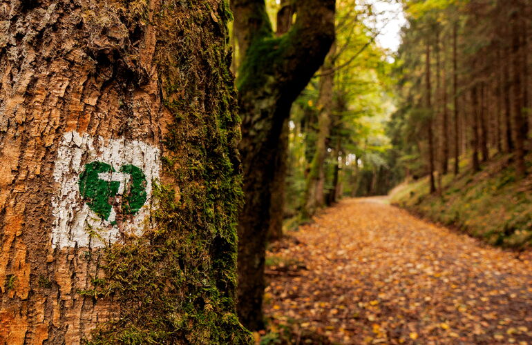 Naturlehrpfad Finsterbergen