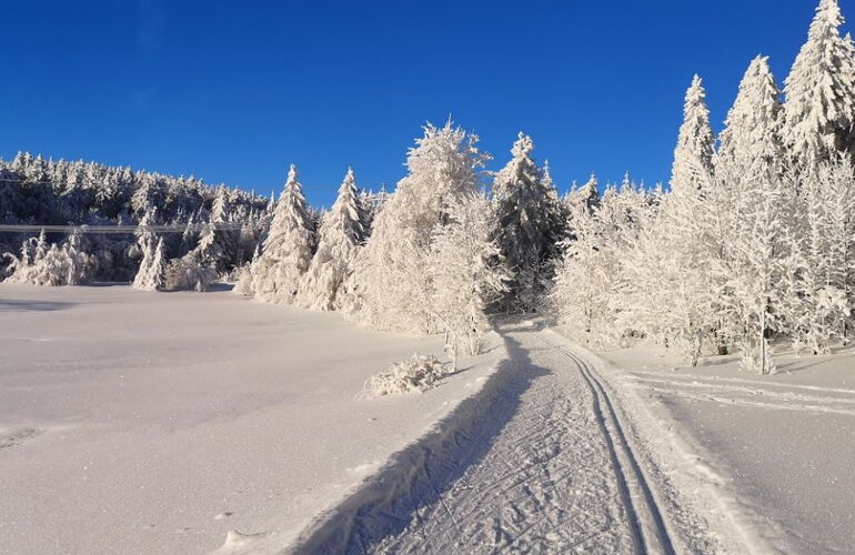 Loipe Ebertswiese © Stefan Ebert