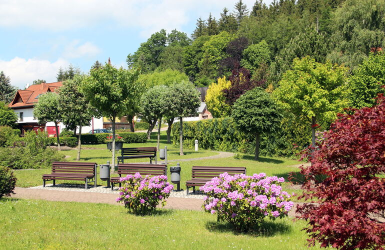 Kurzone mit Bänken und blühenden Sträuchern in Finsterbergen