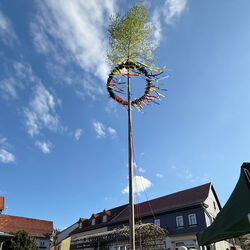 Maibaumstellen Friedrichroda