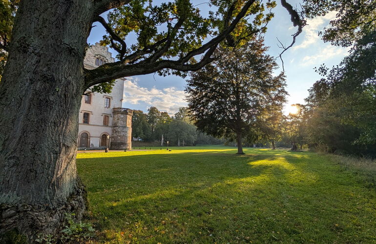 Ein Teil des Schlosses verdeckt von einem alten Baum im Schlosspark Reinhardsbrunn