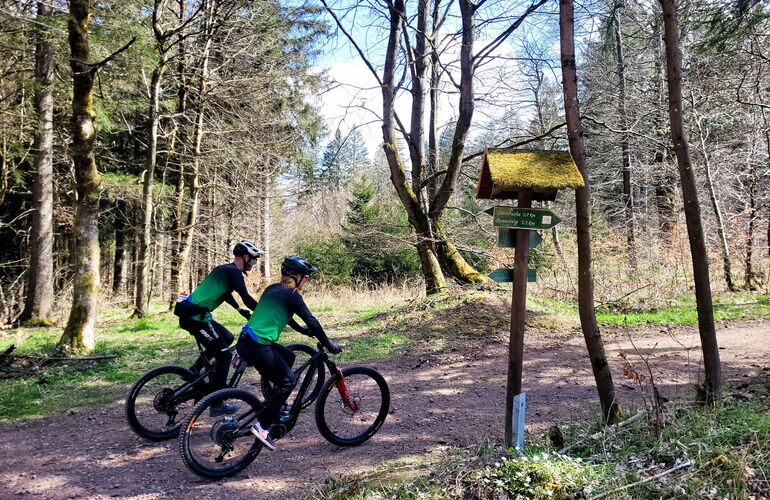 Radfahrer auf der Panorama MTB-Tour Inselsberg