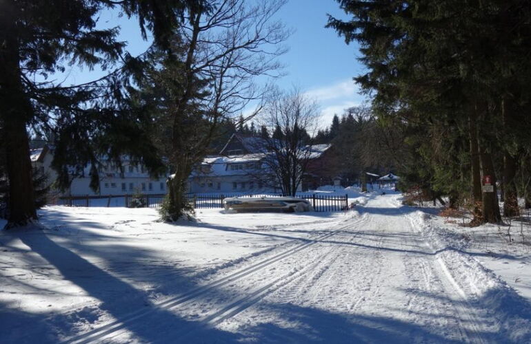 Hotel und Bergggasthof Tanzbuche