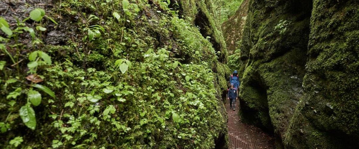 Impression von der Drachenschlucht bei Eisenach