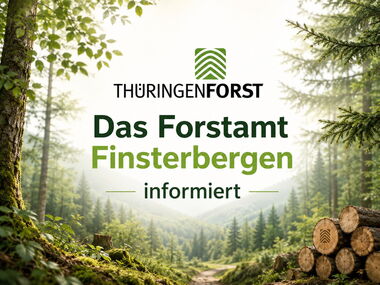 Das Forstamt Finsterbergen informiert