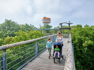 Familie mit Kinderwagen auf dem barrierefreien Baumkronenpfad im Nationalpark Hainich. Im Hintergrund der Aussichtsturm. © Florian Trykowski