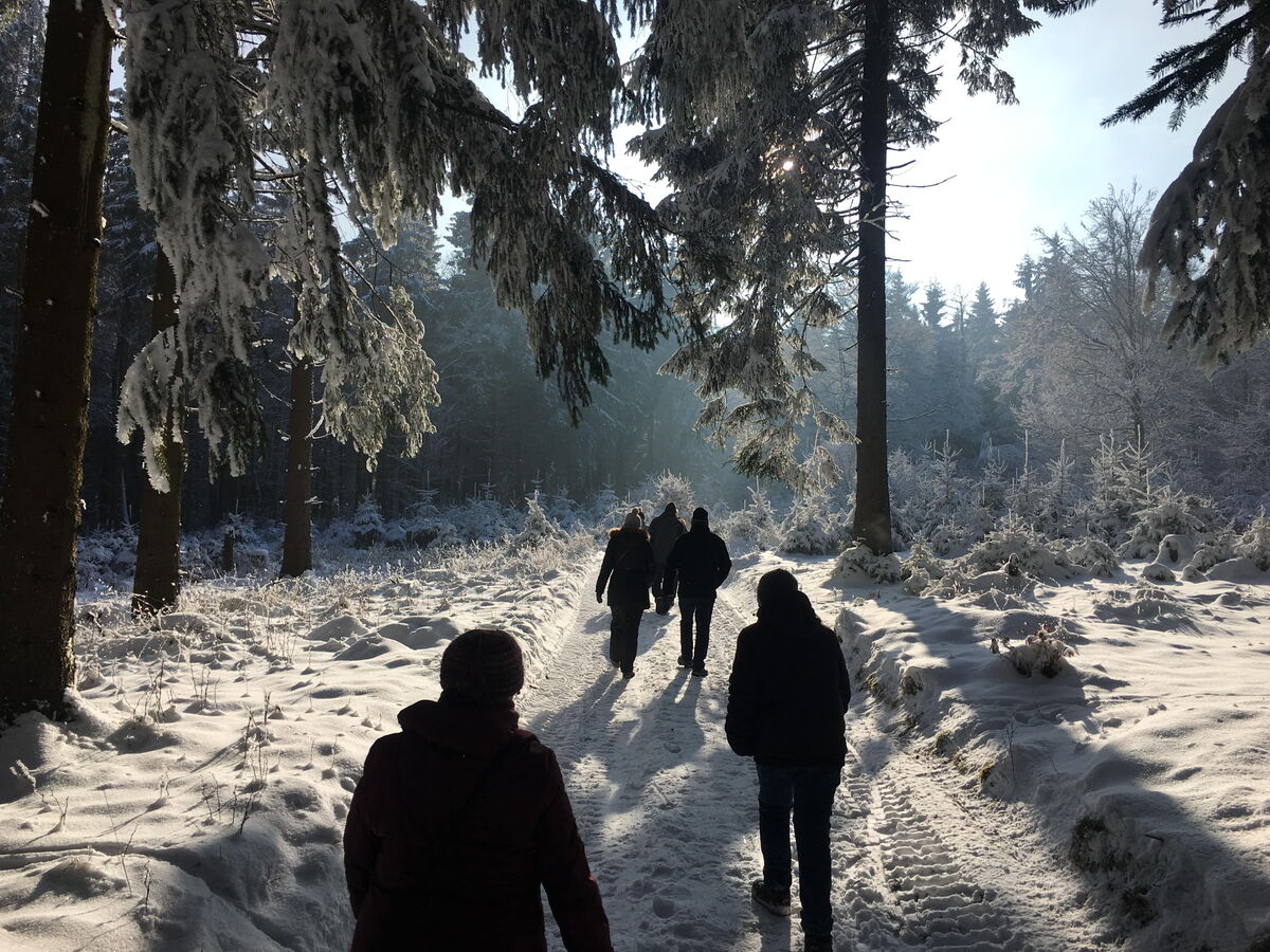 Wildwanderung am Rennsteig, Bild: Markus Creutzburg