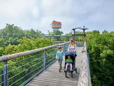 Familie mit Kinderwagen auf dem barrierefreien Baumkronenpfad im Nationalpark Hainich. Im Hintergrund der Aussichtsturm. © Florian Trykowski