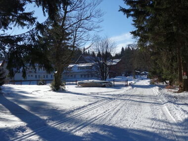 Hotel und Bergggasthof Tanzbuche
