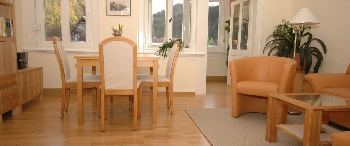 Wohnzimmer in der Ferienwohnung Kehrewieder