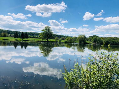 Wolken spiegeln sich im Wasser des Cumbacher Teichs