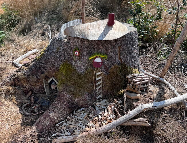 Wichtelpfad Finsterbergen